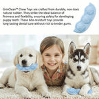 GrinClean™ Teeth Cleaning Dog Toy - Shop Alvion