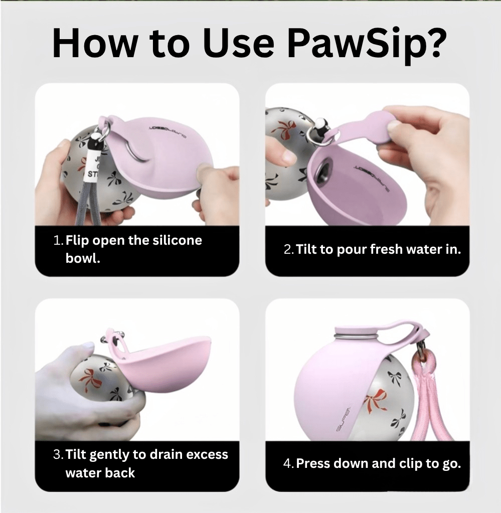PawSip — Fold, Clip, Hydrate - Shop Alvion