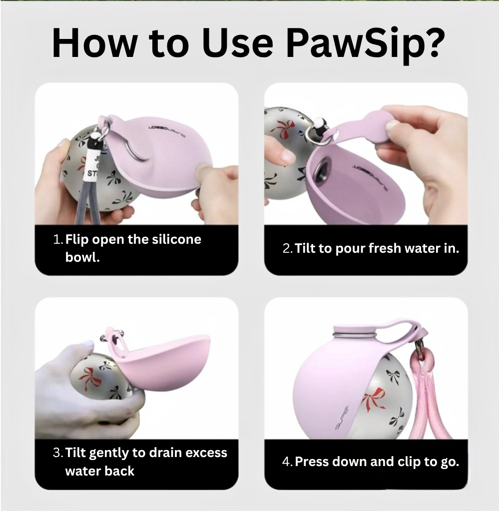 PawSip — Fold, Clip, Hydrate
