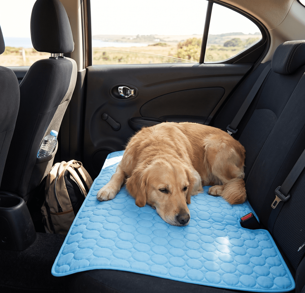 CoolRest — Ice Silk Cooling Mat - Shop Alvion